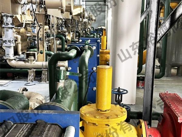 中国石油集团济柴动力有限公司燃气电磁阀项目现场